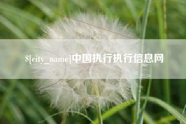 南昌中国执行执行信息网
