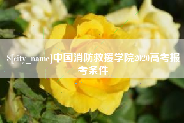 南昌中国消防救援学院2020高考报考条件