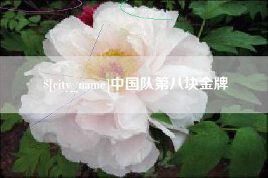 南昌中国队第八块金牌