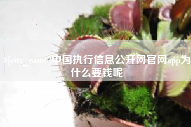 南昌中国执行信息公开网官网app为什么要钱呢