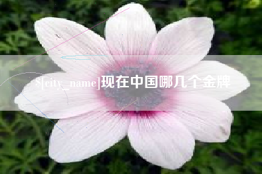 南昌现在中国哪几个金牌