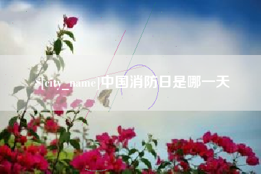 南昌中国消防日是哪一天