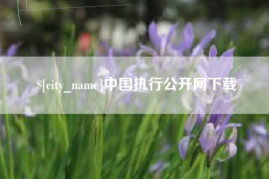 南昌中国执行公开网下载