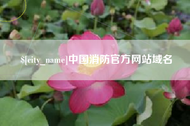 南昌中国消防官方网站域名