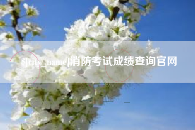 南昌消防考试成绩查询官网