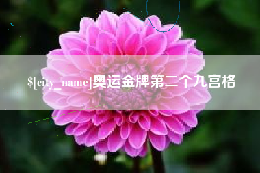 南昌奥运金牌第二个九宫格