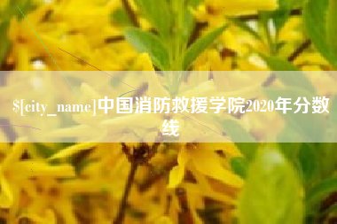 南昌中国消防救援学院2020年分数线