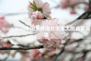 南昌中国金牌图片大全大图真实高清