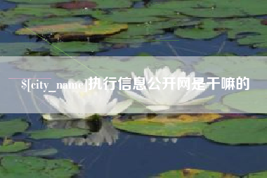 南昌执行信息公开网是干嘛的