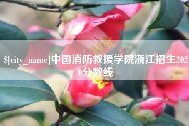 南昌中国消防救援学院浙江招生2020分数线