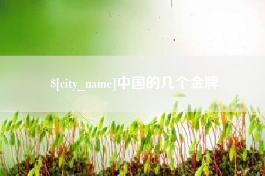 南昌中国的几个金牌