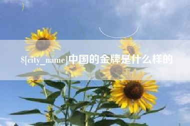 南昌中国的金牌是什么样的