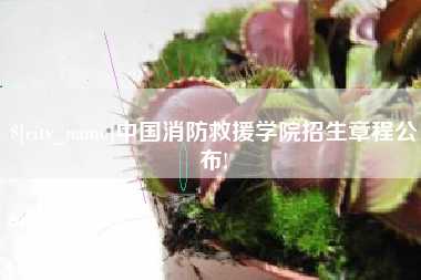 南昌中国消防救援学院招生章程公布!