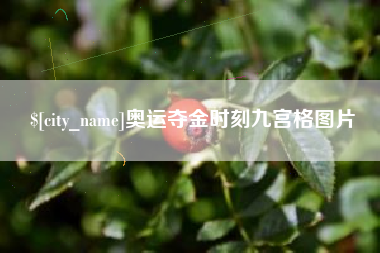 南昌奥运夺金时刻九宫格图片
