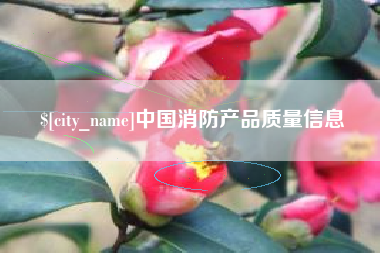 南昌中国消防产品质量信息