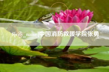 南昌中国消防救援学院张勇