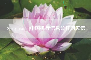 南昌中国执行信息公开网失信