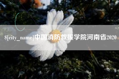 南昌中国消防救援学院河南省2020